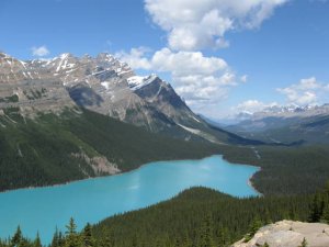 Peyto Lake, along the Icefields Parkway Hwy 93